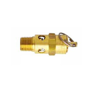 ASME Coded Safety Valve 125 PSI