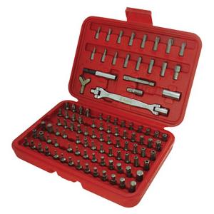 100 Piece Bit & Adapter Set w/ Socket Wrench