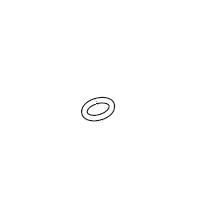 O-Ring (48951-174)