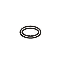 O Ring - C-069083