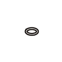 O Ring - C-087316