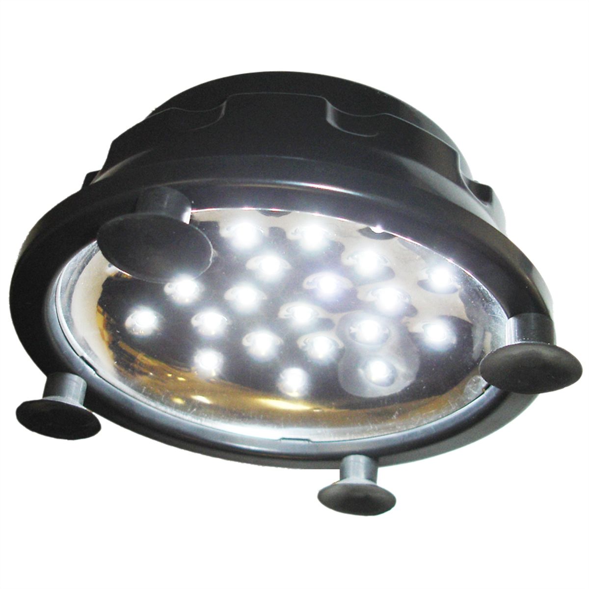 Access Smart Light