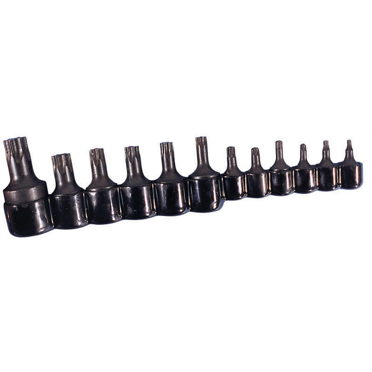 Torx Bit Set - 12 Piece