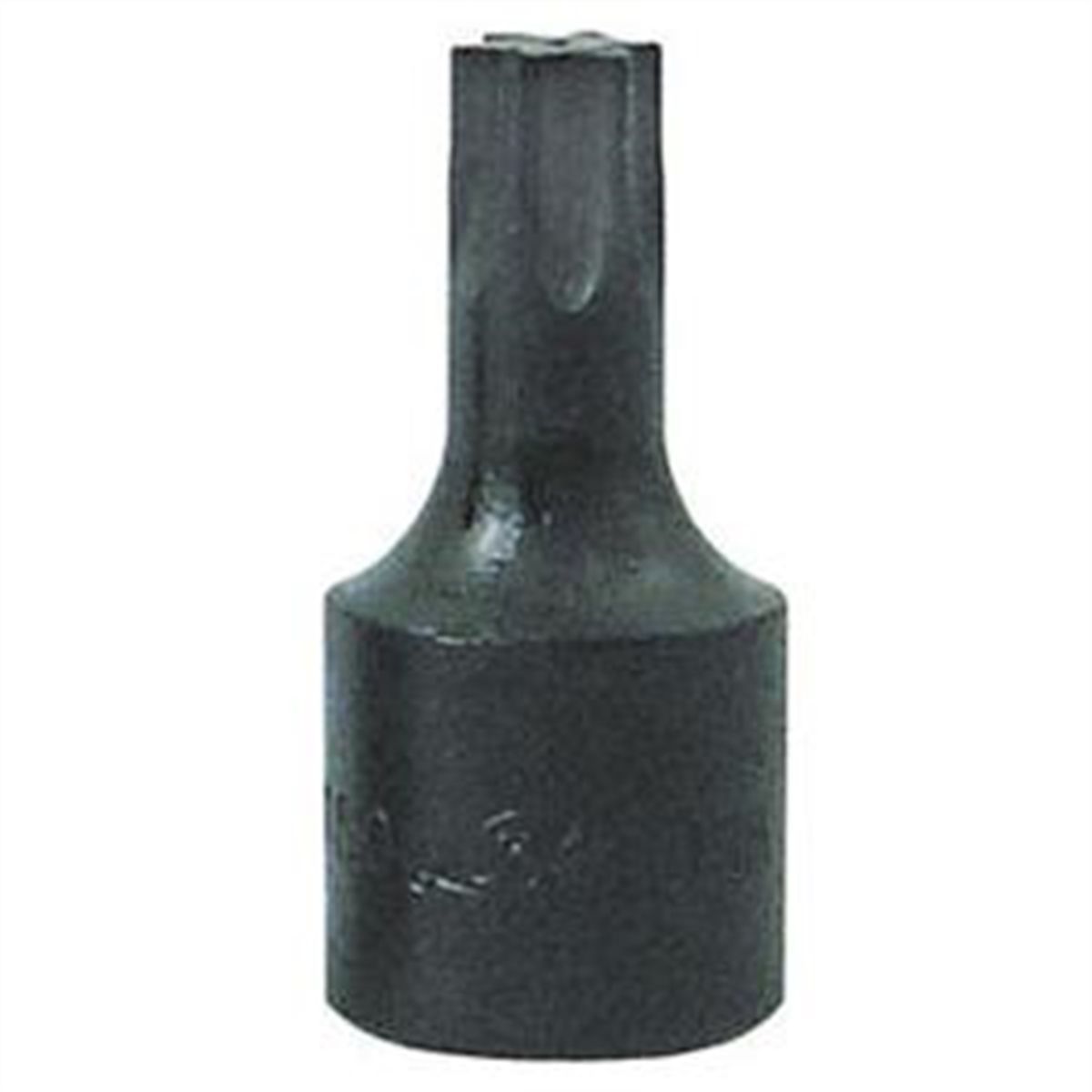 3/8 Inch Drive Torx Bit Socket - T-55