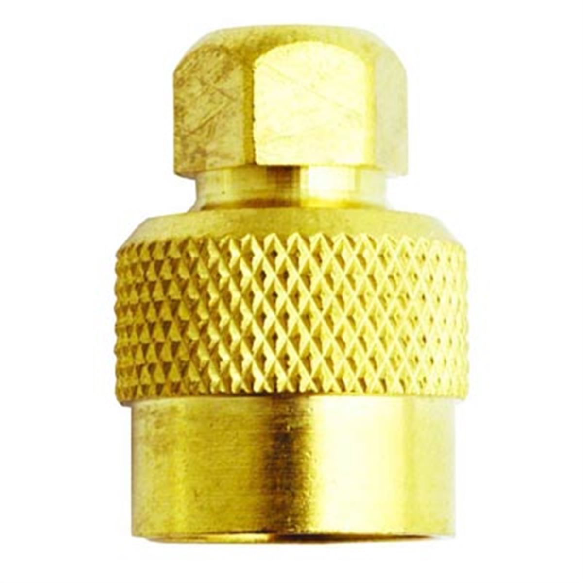 Large Bore Valve Cap - Hex Head, TR VC7