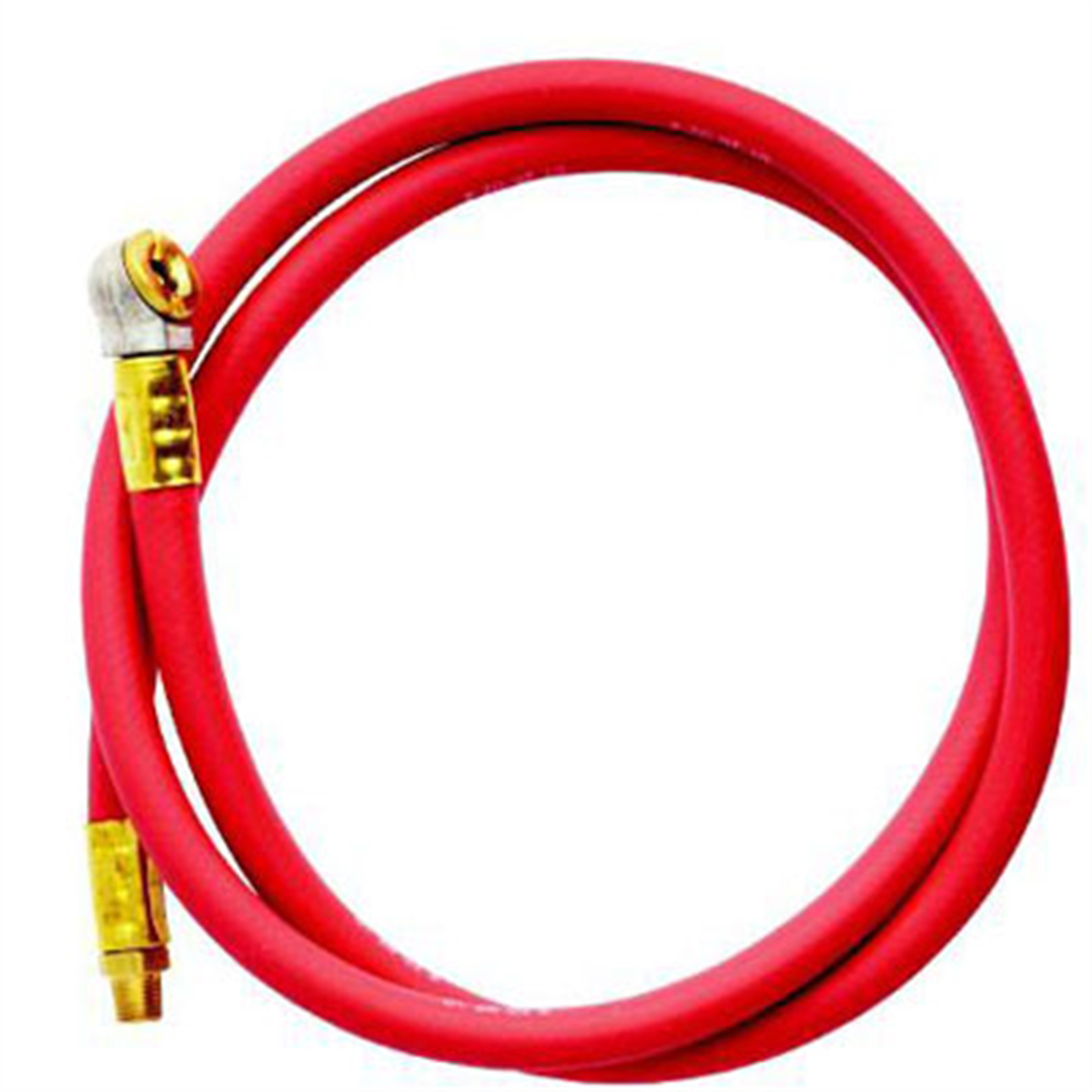 Replacement Hose Assembly - 4 Ft x 1/8 In NPT Male