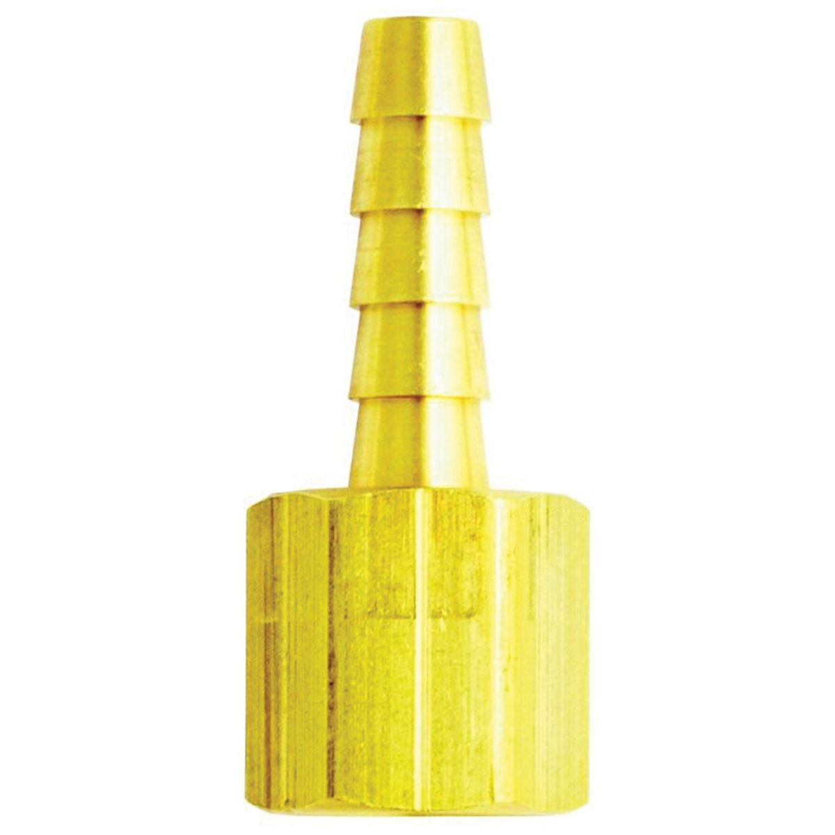 Brass Female Air Hose End 1/4 In ID x 1/4 In NPT