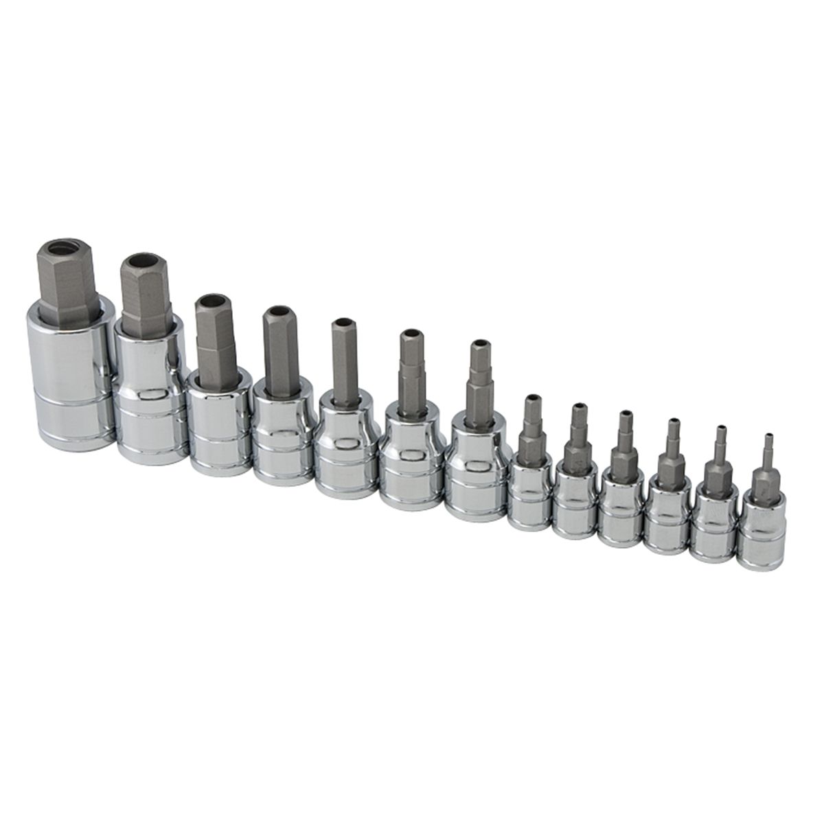 13pc TR SAE Hex Bit Socket Set W/Rail