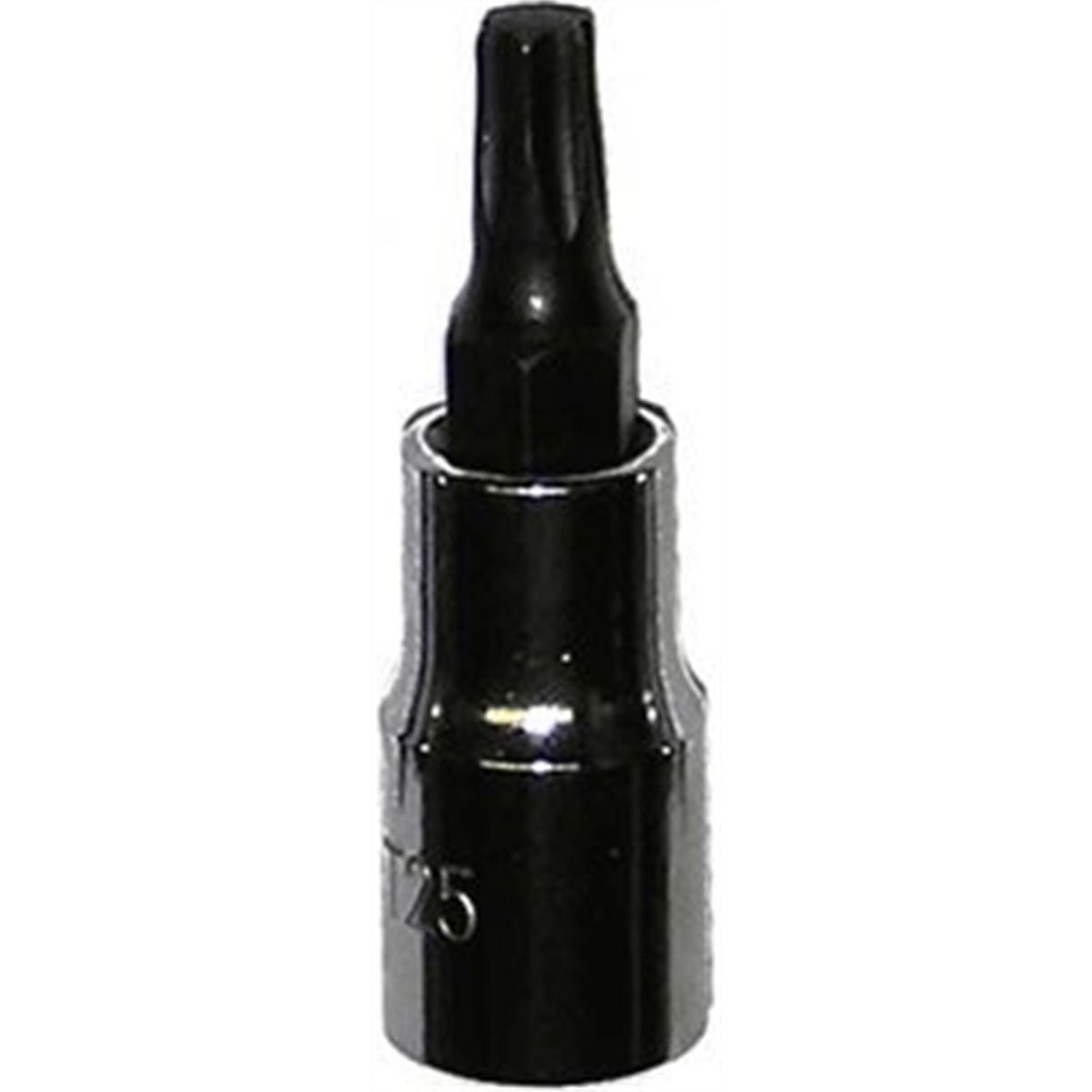 T25 Torx Bit 1/4" Square Dive Holder