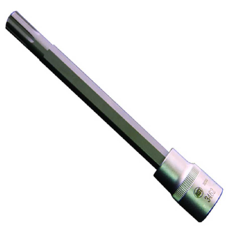 #10 Polydrive Head Bolt Socket