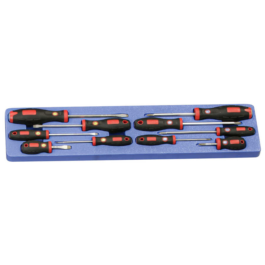 10PC Combination Screwdriver Set(MS-190TS)