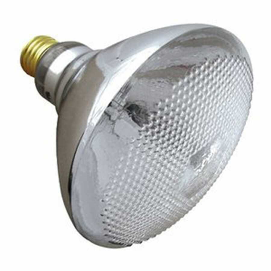 75 Watt Par 38 Incan Outdoor