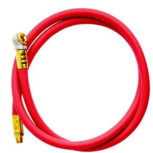 Replacement Hose Assembly - 4 Ft x 1/8 In NPT Male