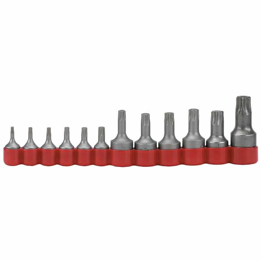 Torx Square Drive Bit Set - Iso-Temp TX10-60 - 12-Pc