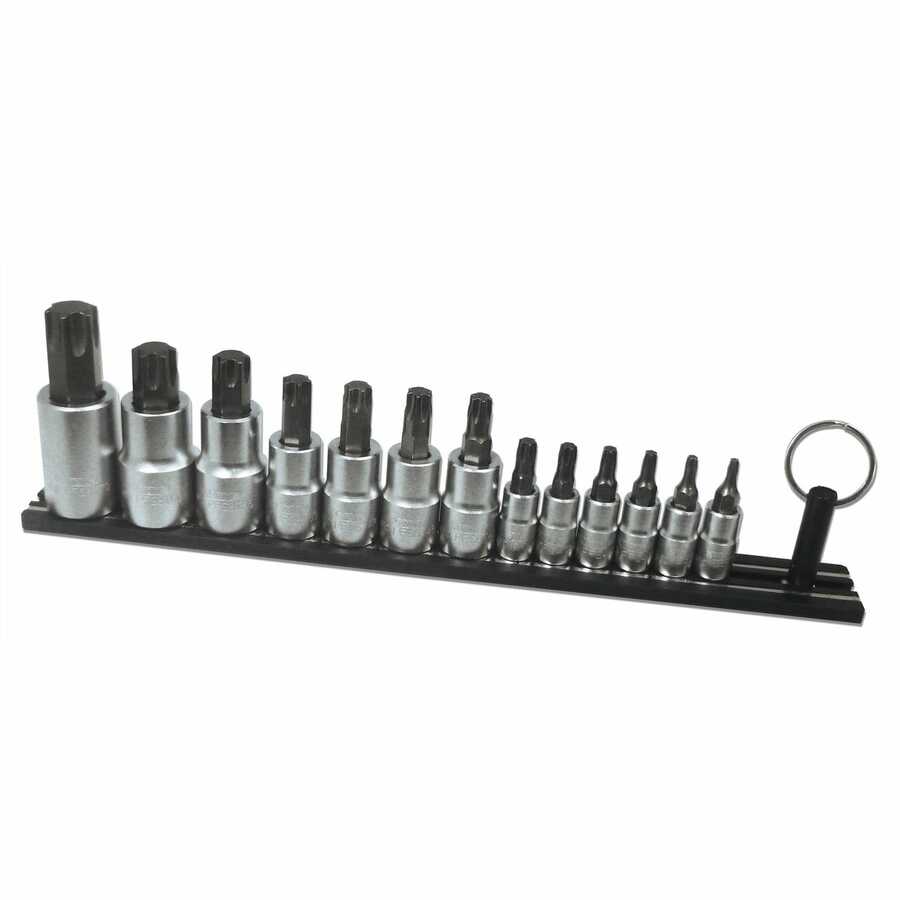 13pc. Torx Driver Set on Black Magrail