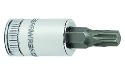 (image for) Torx Bit Sockets