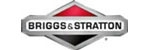 Briggs & Stratton