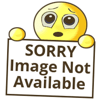 Throttle Adjuster Stop Spring