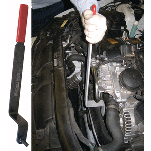 BMW T60 Serpentine Belt