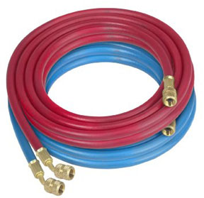 20' Charging Hoses