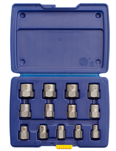 Professional's Bolt Extractor Industrial Set