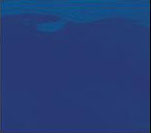 Blue Transparent Curtain w/ Frame 8' x 6'