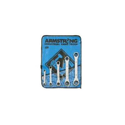 5 Piece Ratcheting Box Wrench Set