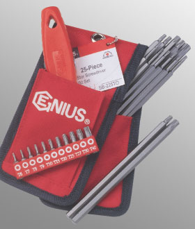 25PC Star Screwdriver Bit Set