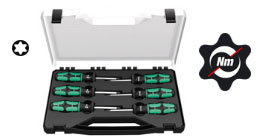 300 TX/6 TORX(R) Torque-Indicator Set