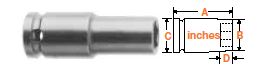 1/2" Square Drive Socket, SAE 13/16" Hex Opening