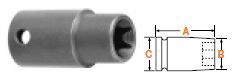 1/4" Square Drive Torx Socket E-4 Driver Size