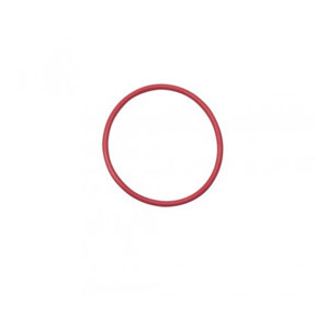 O-RING PUMP FLANGE