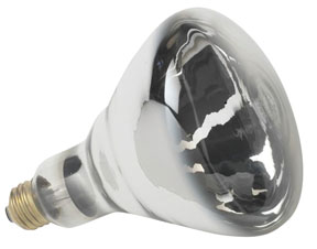 HEAT LAMP BULB CS/12