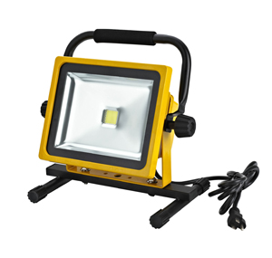 2100 Lumens LED Flood Light