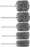 5PC FLEX HONE -BRAKE CYLINDER