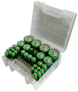 31 Piece Alkaline Battery