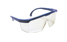 HORNETS SAFETY GLASS