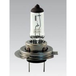 55 Watt Halogen