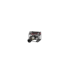 B&S 6500 Watt Generator NEC Compliant