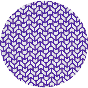 8IN P150 C2 NET DISC