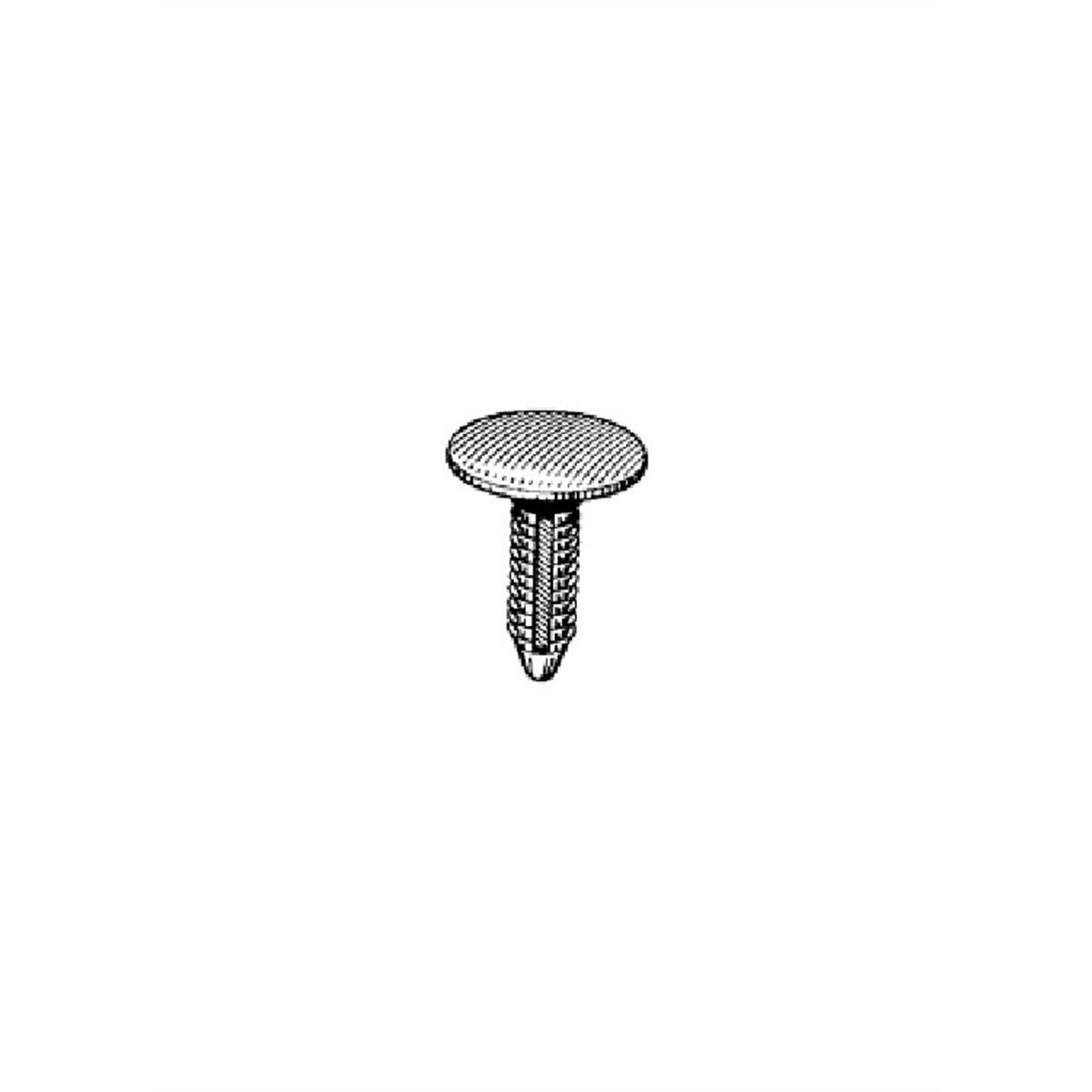 Nylon Fascia To Bumper Retainer (Bag of 25)