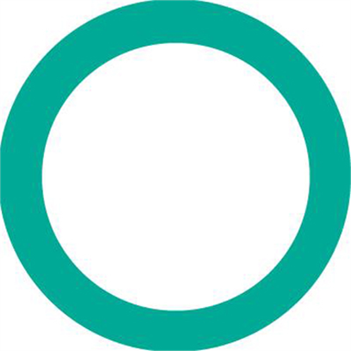 O-RING