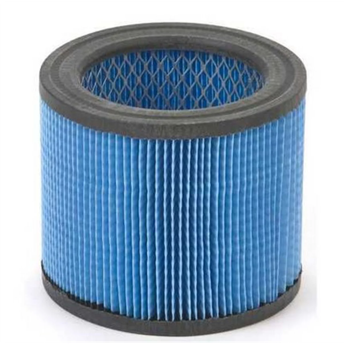 (image for) Vacuum Filter, Paper, Reusable