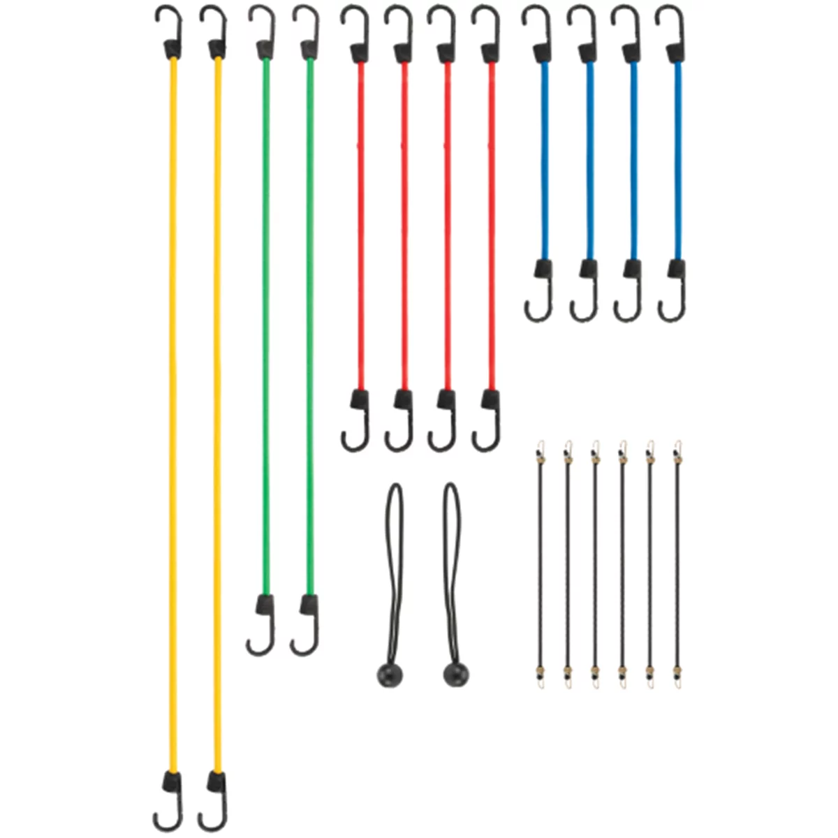 20 Piece Bungee Cord