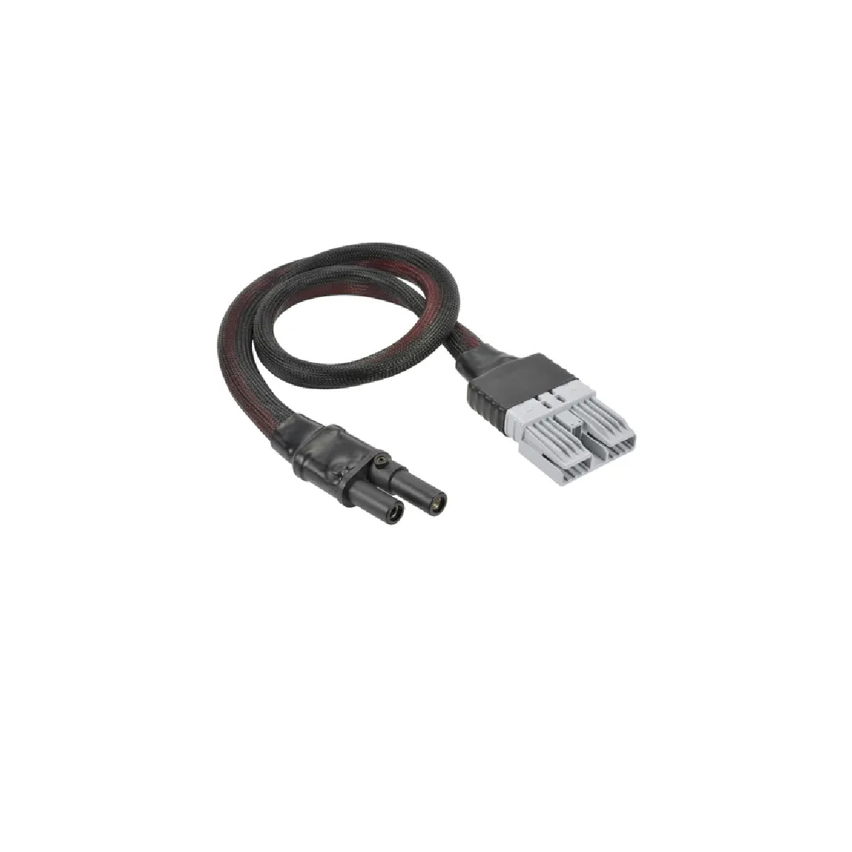 Projecta Harness w/CAT Plug