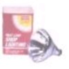 Infared Heat Lamp Bulb - 250 Watt, 120 V