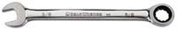 Ratcheting Combination Wrench - 5/16 Inch