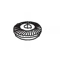 PINION