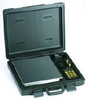 High Capacity Scale