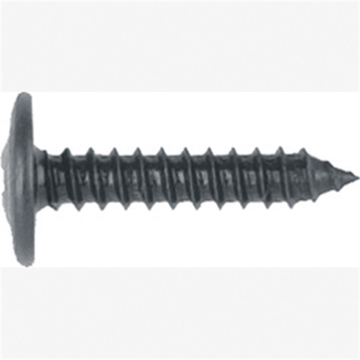 Phillips Oval Washer Head-GM